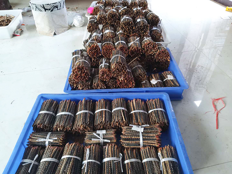 远航蜈蚣20