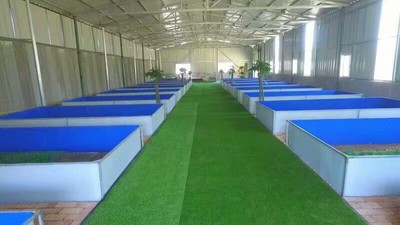 【北海蜈蚣养殖场】【防城港蜈蚣养殖场】【钦州蜈蚣养殖场】【贵港蜈蚣养殖场】