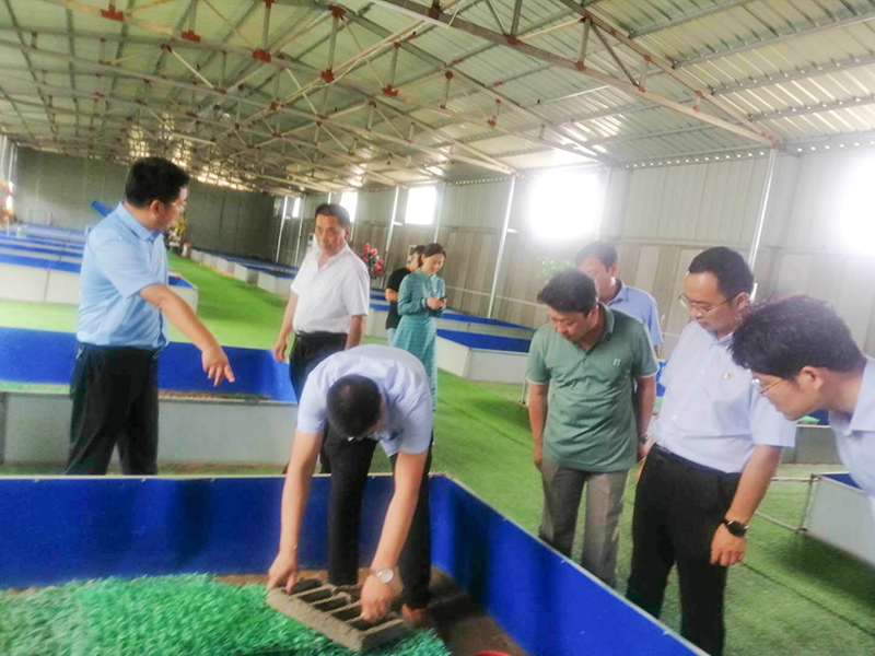 远航蜈蚣4