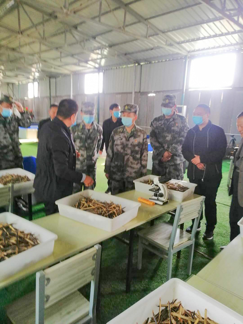 远航蜈蚣18