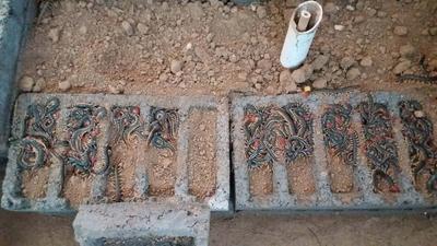 【吉林蜈蚣养殖场】【长春蜈蚣养殖场】【四平蜈蚣养殖场】【辽源蜈蚣养殖场】