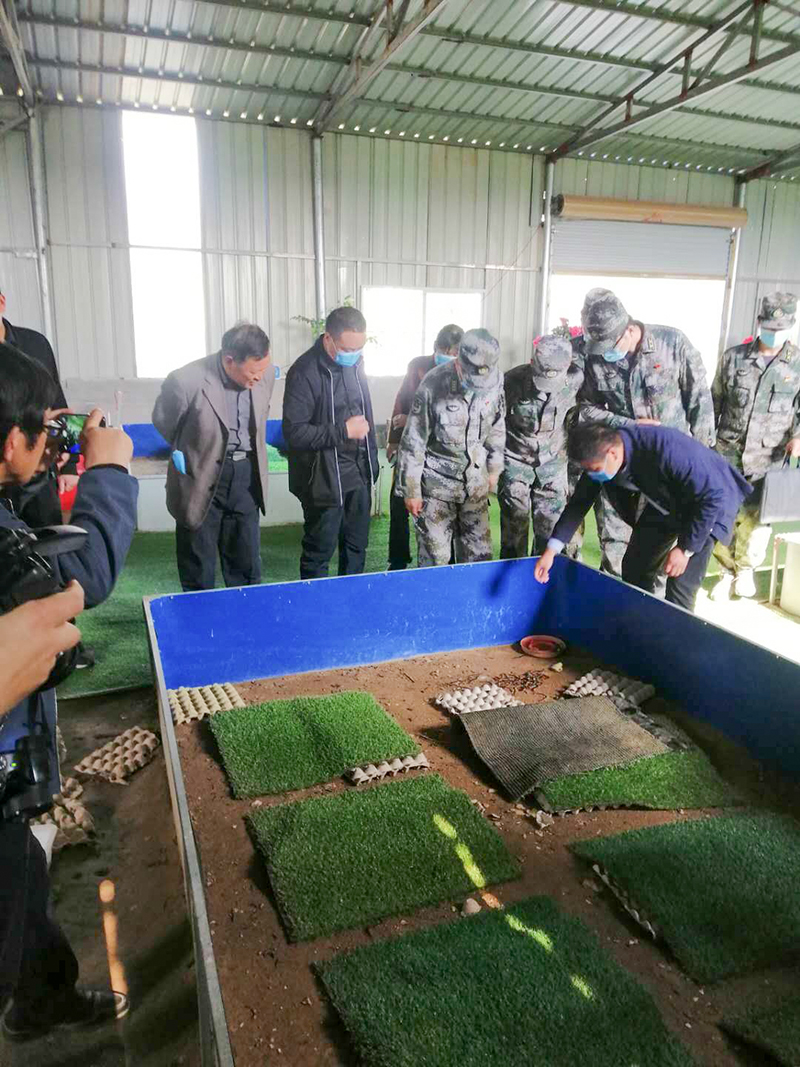 远航蜈蚣15