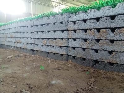 【上饶蜈蚣养殖场】【吉安蜈蚣养殖场】【抚州蜈蚣养殖场】【九江蜈蚣养殖场】